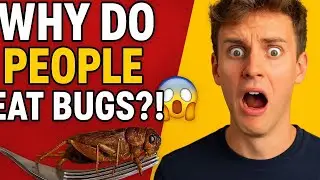 &ldquo;Why Do People Eat Bugs? 🐛 The Shocking Truth Behind Insect Food!&rdquo;