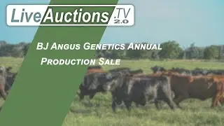 BJ Angus Genetics Annual Production Sale