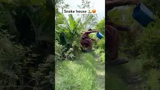 Farming hunting for snake 🐍🥵 #farming #hunting  #snake #farmer #hunter #farmerhunter