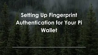 Setting Up Fingerprint Authentication for Your Pi Wallet