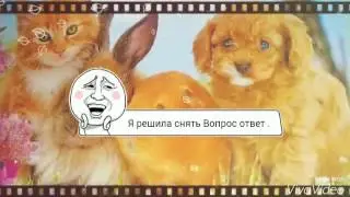 Задавайте вопросы для Ask Fruit