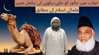 Khawb me Janwar ko Jalte Dekhna ki Tabeer #real #knowledge # Abdul Aleem Yazdani