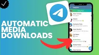 How to manage the automatic media download in Telegram?