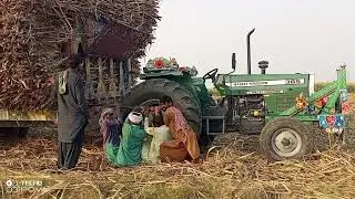 Green Holland treacter MF 385 power full