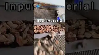 Cashew color sorter machine #classictechnologies #machine #sorting #aura #cashewnuts #cashew