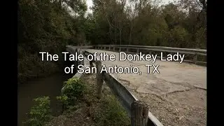 The Tale of the Donkey Lady - Lacerated Lullabies