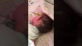 Вы видели? Кот ест волосы прямо с головы!!