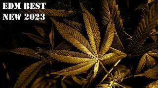 Hash Music Best New Deep Hot mix /Electro / House/ Techno/ ProgressiveTrance/ Hash Music
