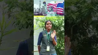 Top 3 Questions About Pakku Mattai Thattu🌿| Real Truth About Areca Plates | Ecog Products Coimbatore