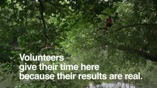 Volunteer Culture