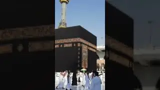 kabe ka kaba Sarkar #viral #shortsfeed #islamicfigures #hazratalinefarmayaqayamatkinishaniyan #isl .