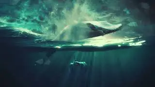 J.T. Peterson - The Queen's Decree (Official Album Artwork Video)