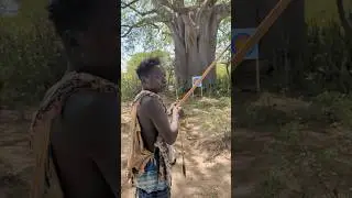 😱 This Archer Shoots Like an Olympian &mdash; You Won&rsquo;t Believe It