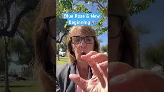 What is a #bluerose mean? #newbeginnings #purpose #beyourbestself ￼#beyourself #personaldevelopment