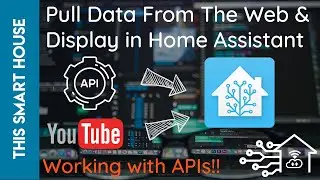Извлечение данных из Интернета и отображение в Home Assistant &mdash; Работа с API &mdash; Отображение количе...
