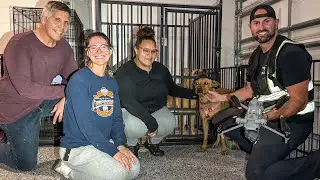 #266 Sunshine The Lost Dog - Christmas Day Rescue - Florida Pet Recovery