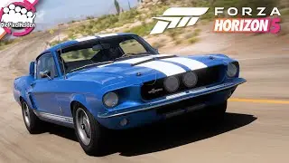 Eine Legende, der erste Shelby GT500! 💪 - #312 - FORZA HORIZON 5