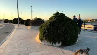 PASSEGGIATA LUNGOMARE DI SAN FOCA  MERINE DI MELENDUGNO  2024