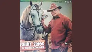 Vaneirão Improvisado em desafio