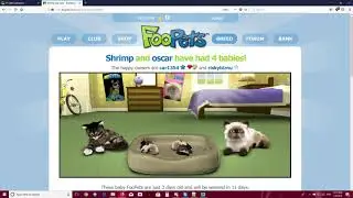FooPets Q&A