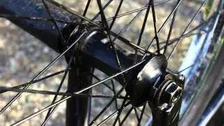 Primo N4FL Hub Review