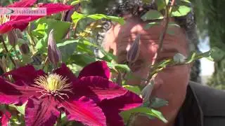 Tuin bemesten: wanneer en hoe? - Tuinieren.nl