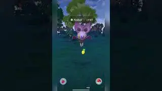 #pokemon #pokemongo #pokemongonederland #challenge #dutchtuber #viralvideo #shiny