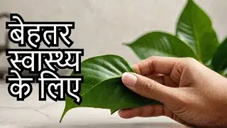 paan ke patto ke fayde | TurkishTechTutorial