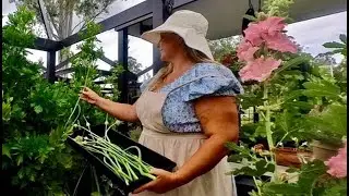 Cultivating Calm: A Day in My Self Sufficient Garden. (Zero Waste)