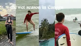 bunu her yere koymak zorunda misiniz gercekten | bali-canggu son 2