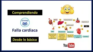 13  Falla cardiaca, FISIOPATOLOGIA, DIAGNÓSTICO, TRATAMIENTO