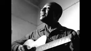 Big Bill Broonzy - Blue Tail Fly (live, Copenhagen, 1956)