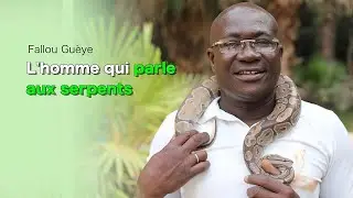 Celui qui réconcilie les humains et les serpents au Sénégal !