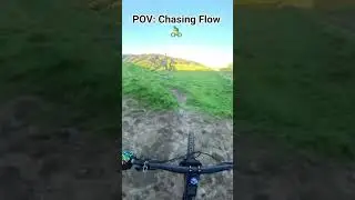 Fast & Flowing MTB POV Ride | Trail Bliss on the Megatower