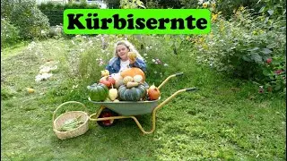 K&uuml;rbisse ernten und lagern