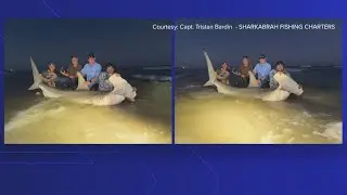 Nearly 11-foot hammerhead shark caught south of Bob Hall Pier on Texas coast
