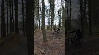 Mtb Grenoside Shark Fin