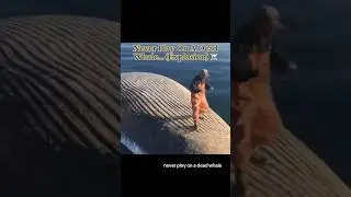 Never Play On A Dead Whale&hellip; (Explosion) ☠️ #dangerous