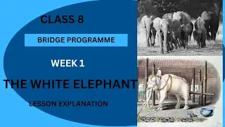 Class 8 NCERT Bridge Course - The White Elephant | Lesson Explanation (English)