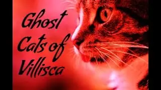 Ghost Cats of Villisca Axe Murder House - Great Lakes Ghost Hunters of Wisconsin