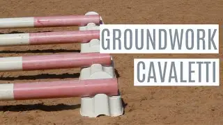GROUNDWORK CAVALETTI  | IN-HAND EXERCISES
