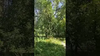 санаторий Серебряный бор 24 часть #shorts #санаторий