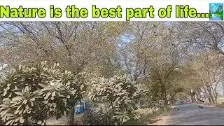 Nature is the best part of life...🏞 | Titan vloger's Army | daily vlog | videofeed
