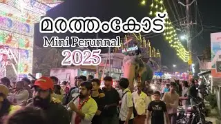മരത്തംകോട് മിനി പെരുന്നാൾ 2025 ✨🐘🥁 #perunnal2025 #trending #video #ytviral 