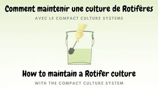 Entretien d'une culture de rotif&egrave;res