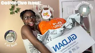 Collective haul: Temu, Jiffy shirts and Amazon finds