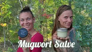 Making Our Own Medicine - MUGWORT - Seed to Salve