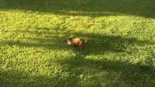 VID 20130620 185704 931