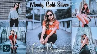Gold silver moody preset   Lightroom mobile preset   Urban dark  preset