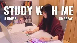 5-hour study with me 📚・no break・calm piano 🎹